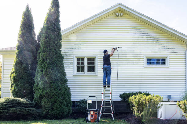 Best Solar Panel Cleaning  in Captain Cook, HI